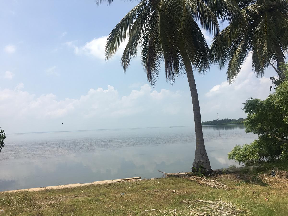 Captain'S Bird Safari Lodge Puttalam Eksteriør bilde