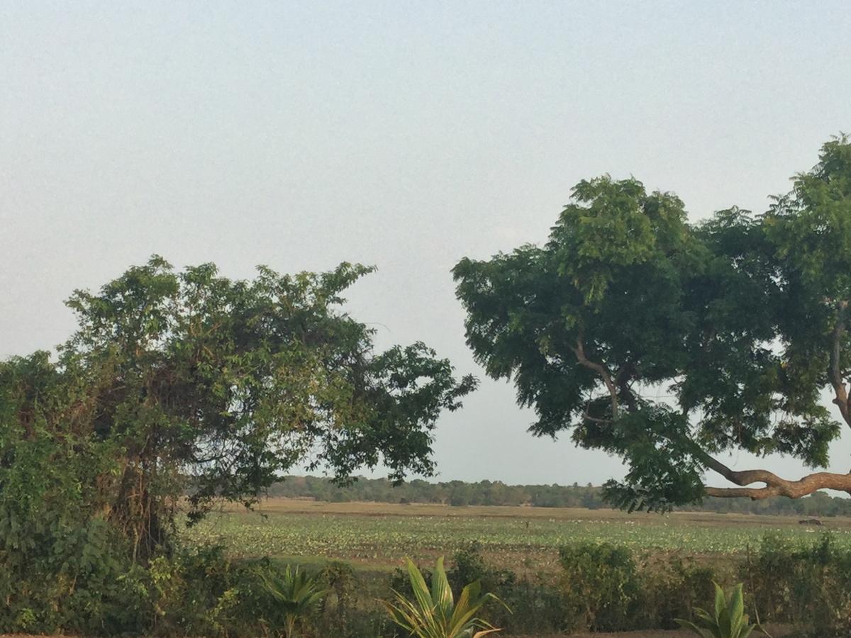 Captain'S Bird Safari Lodge Puttalam Eksteriør bilde