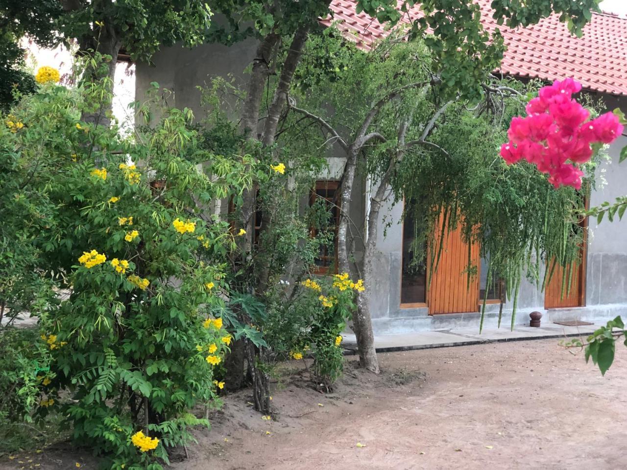 Captain'S Bird Safari Lodge Puttalam Eksteriør bilde