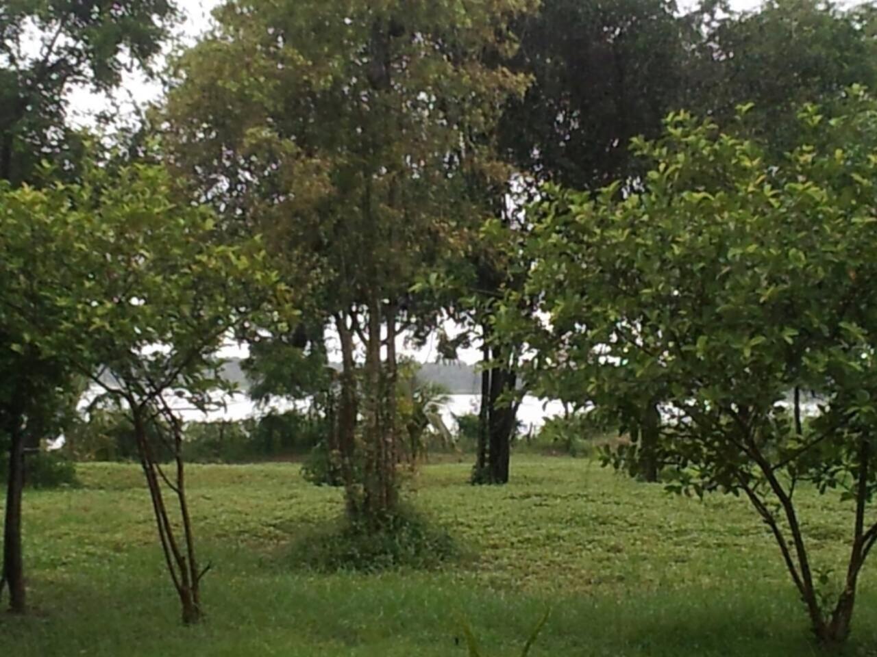 Captain'S Bird Safari Lodge Puttalam Eksteriør bilde