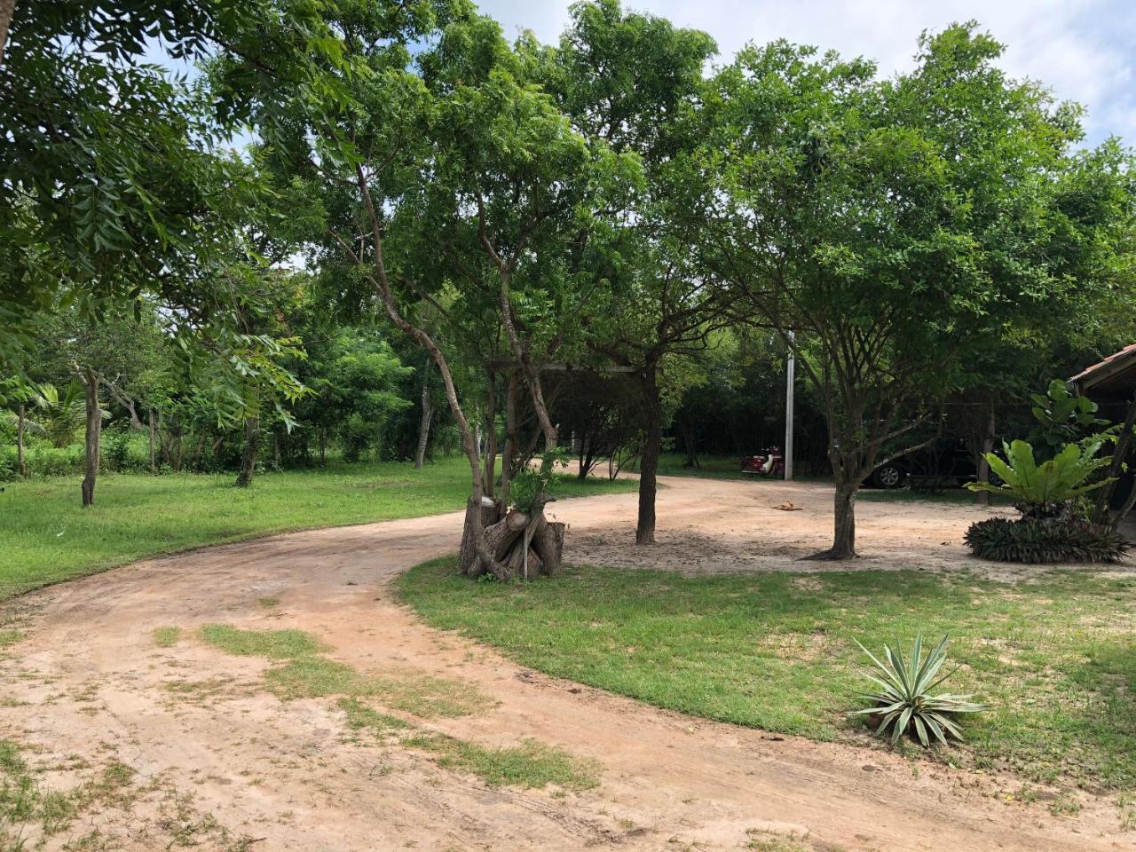 Captain'S Bird Safari Lodge Puttalam Eksteriør bilde