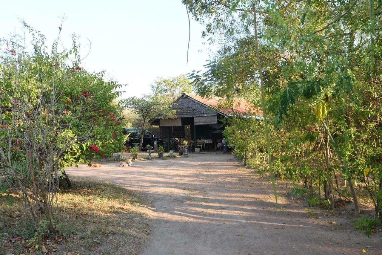Captain'S Bird Safari Lodge Puttalam Eksteriør bilde