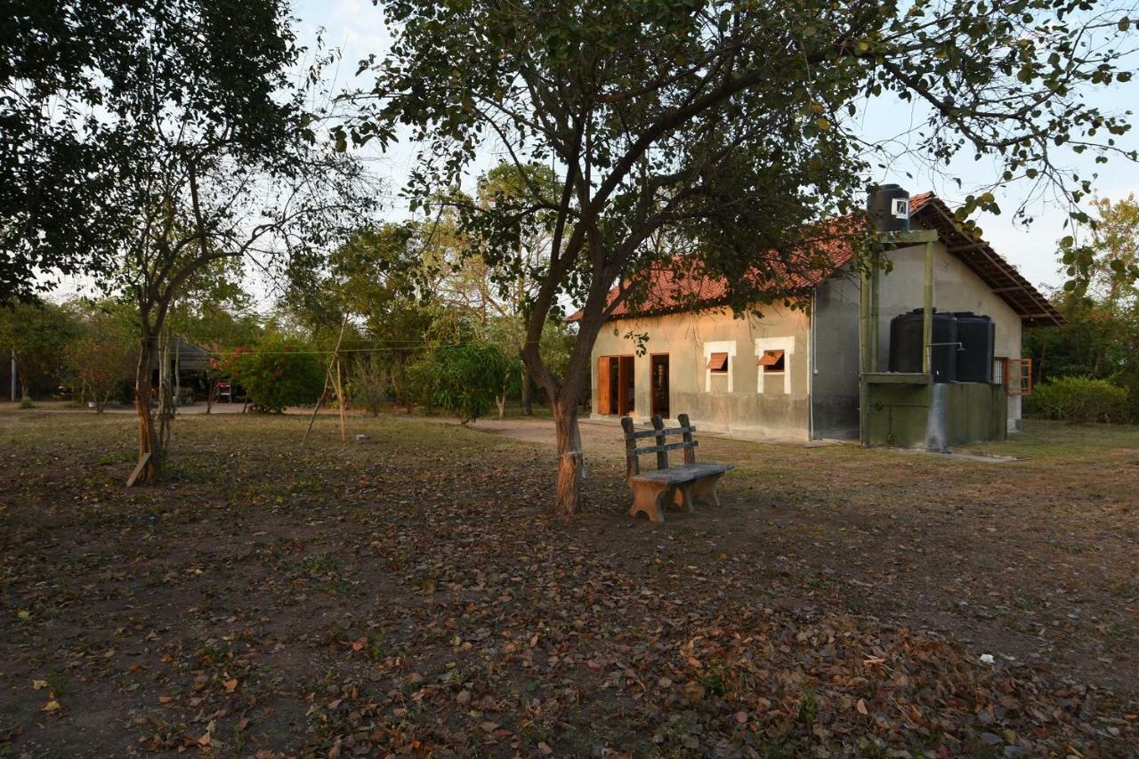 Captain'S Bird Safari Lodge Puttalam Eksteriør bilde